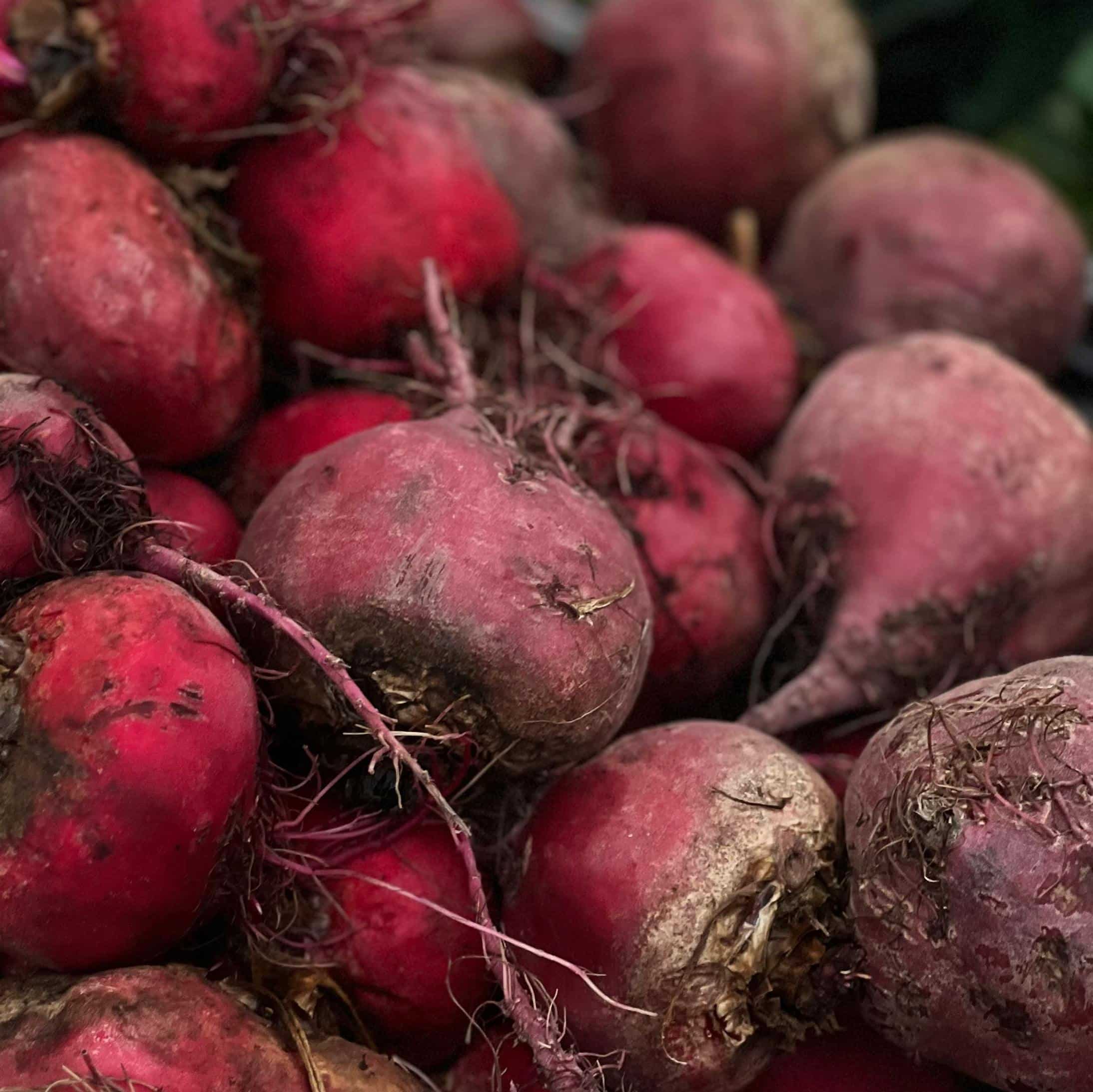 Graines de Betterave Robuschka Bio