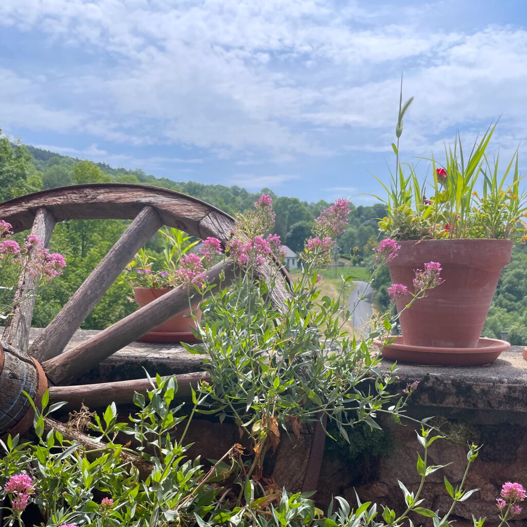 photo de mamahele, vu d'un jardin en permaculture