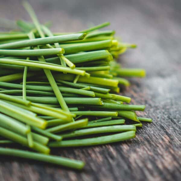 Graines de Ciboulette Bio