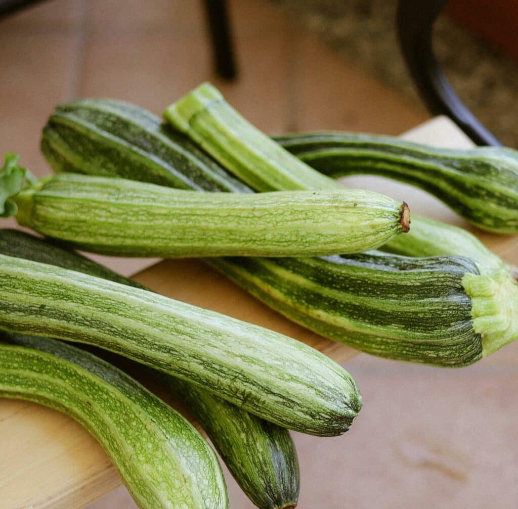courgettes provenant de graines respectueuses de l'environnement et de votre santé.