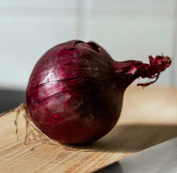 Graines d'Oignon Tropea Tonda Bio