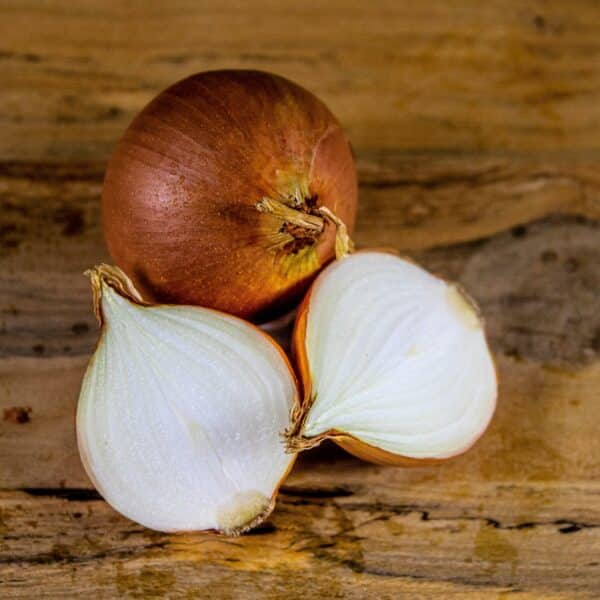 Graines de Oignon Sturon (jaune) Bio