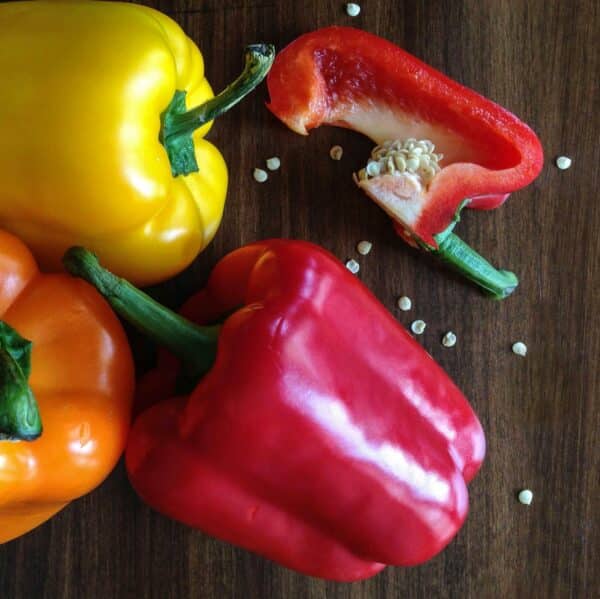 Graines de Poivron Jumbo Stuff Bio