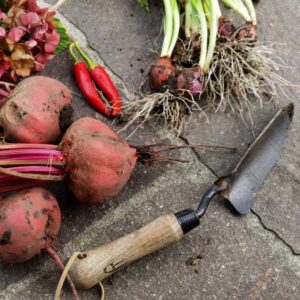 Aménager son potager en permaculture