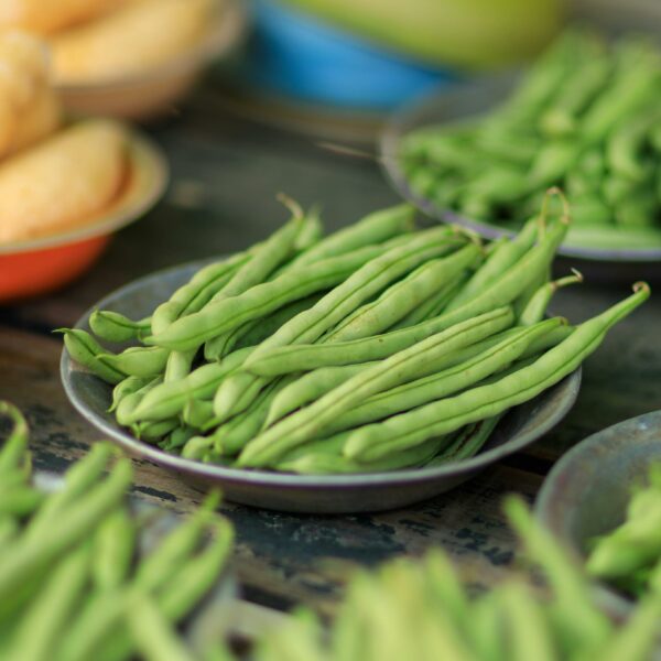 Graines de Haricots Émérite