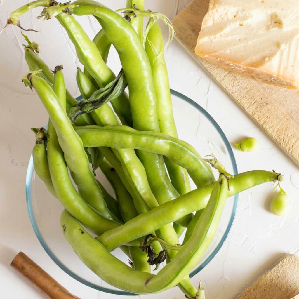 haricots émérites provenant de graines respectueuses de l'environnement et de votre santé.
