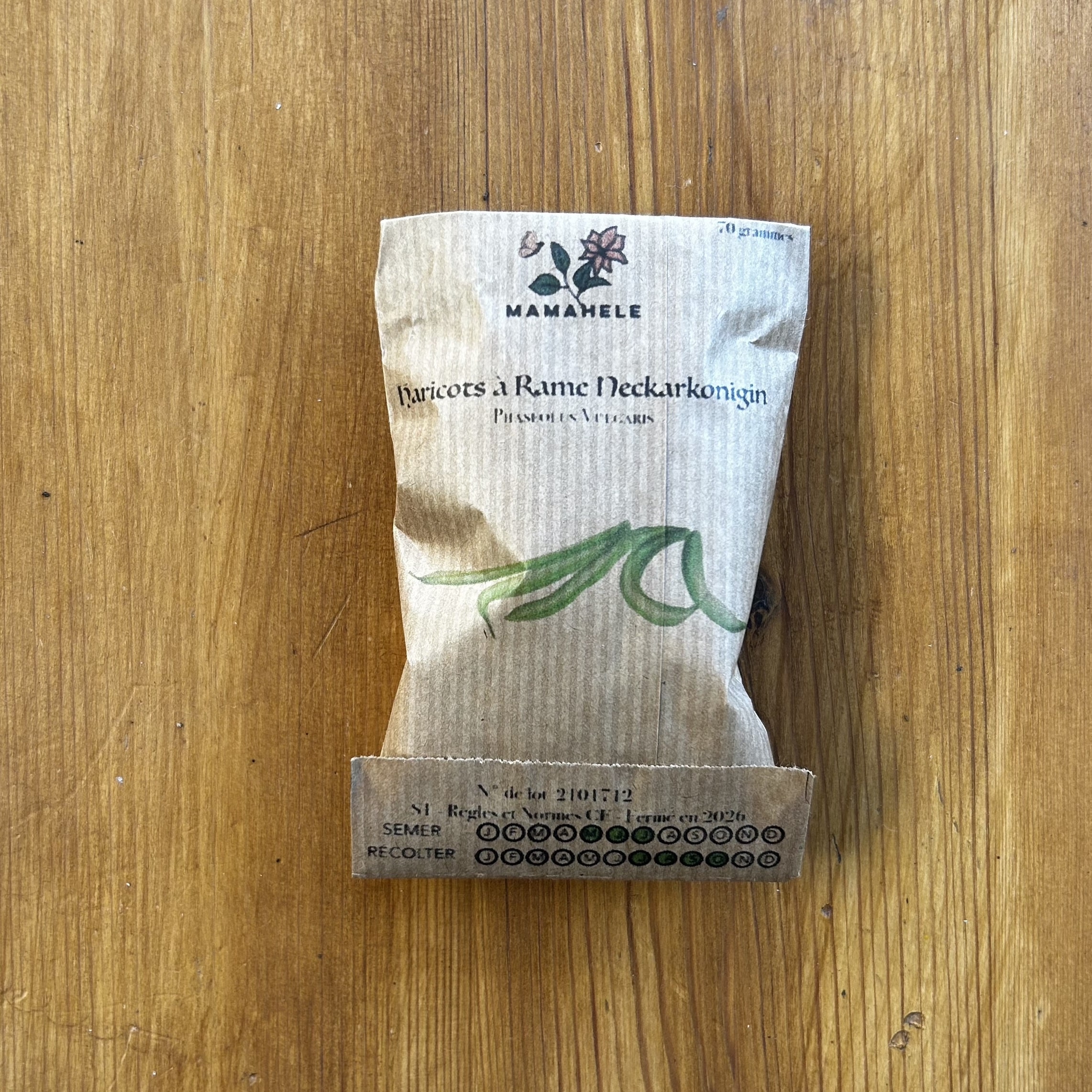 Graines de Haricots Neckarkonigin – Image 2