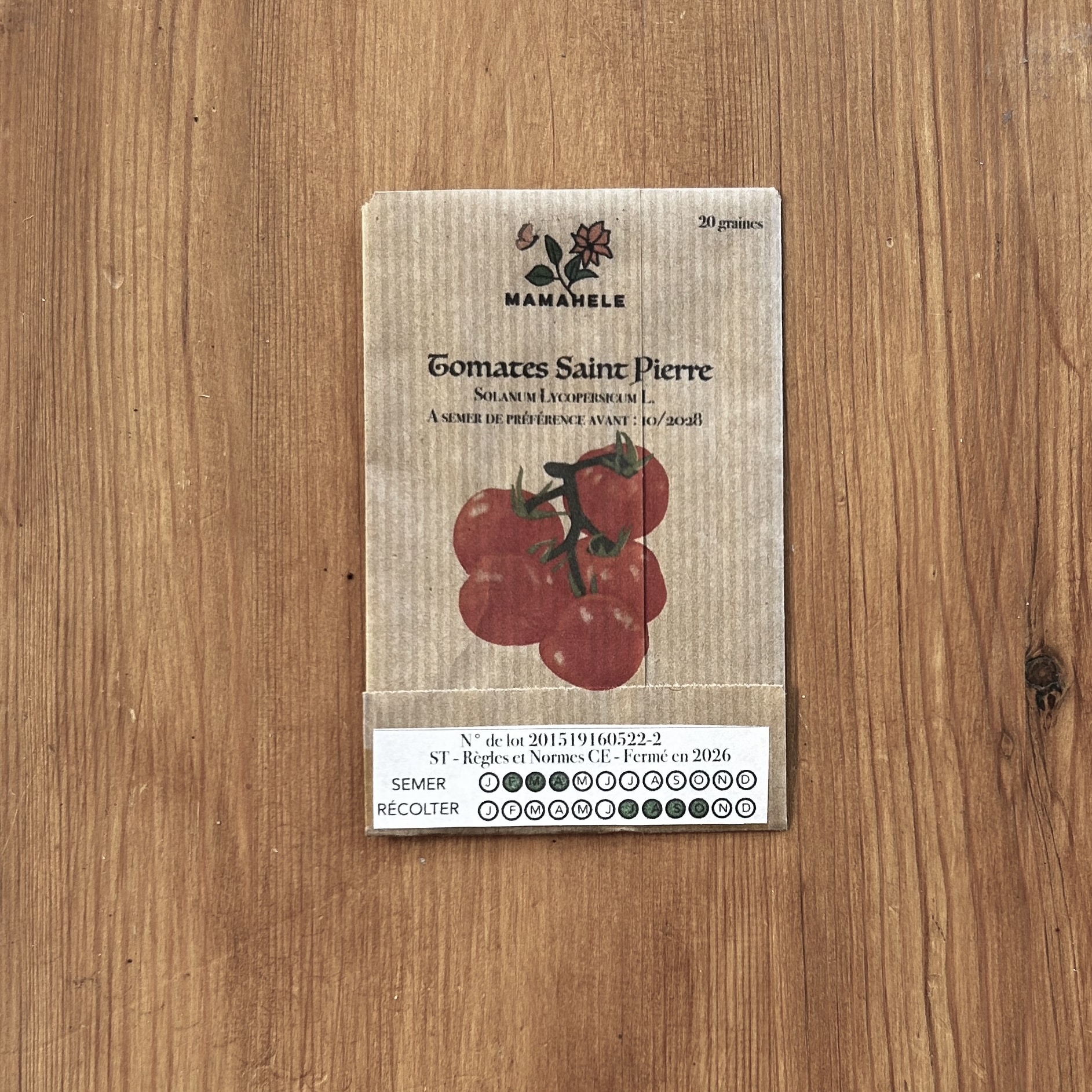 Graines de Tomates Saint-Pierre – Image 3
