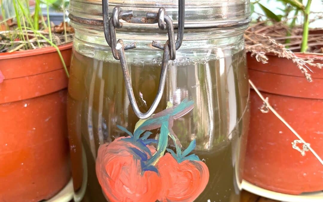 pot de conservation purin de tomate