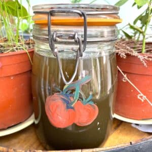 Comment faire son Purin et à quoi il sert au potager ?