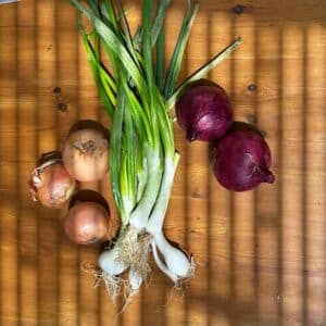 Pourquoi cultiver différentes variétés d’oignons au potager ?