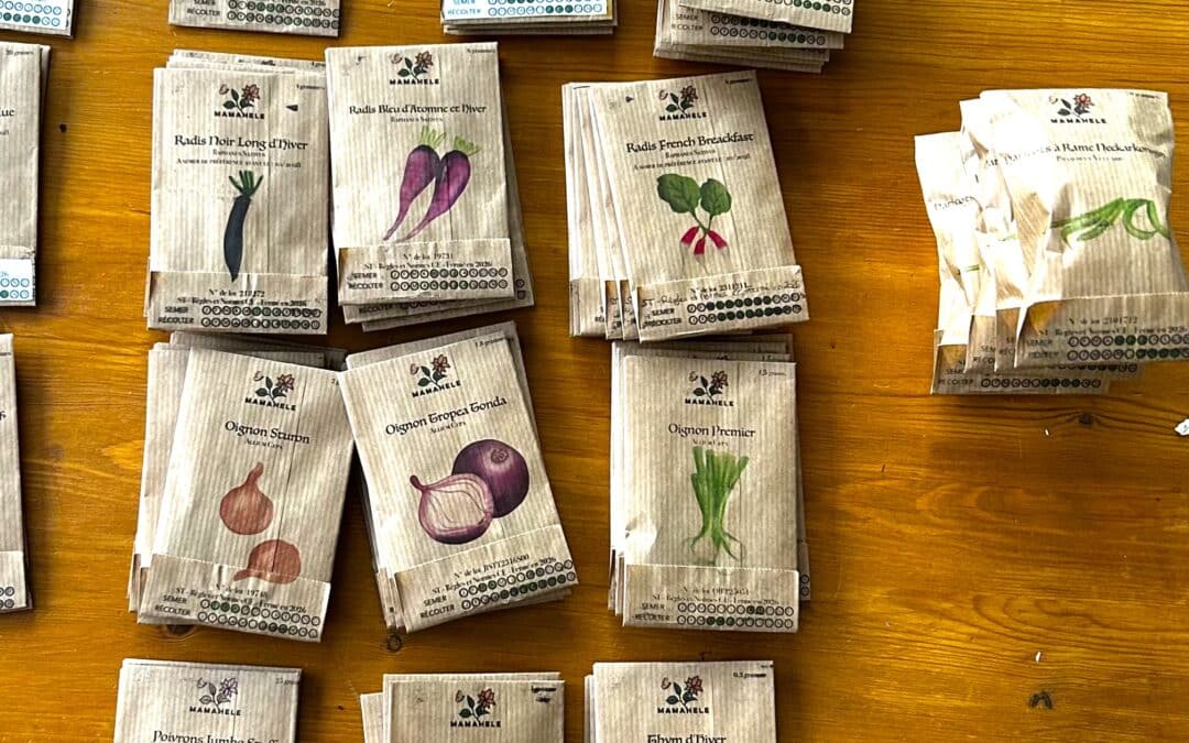 Quelles plantes semer en mai au potager ?