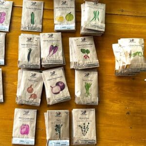 Quelles plantes semer en mai au potager ?