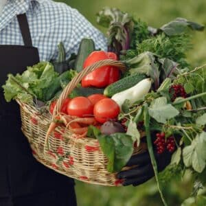 Compagnonnage : est-il (vraiment) important d’associer certains légumes dans mon potager ?
