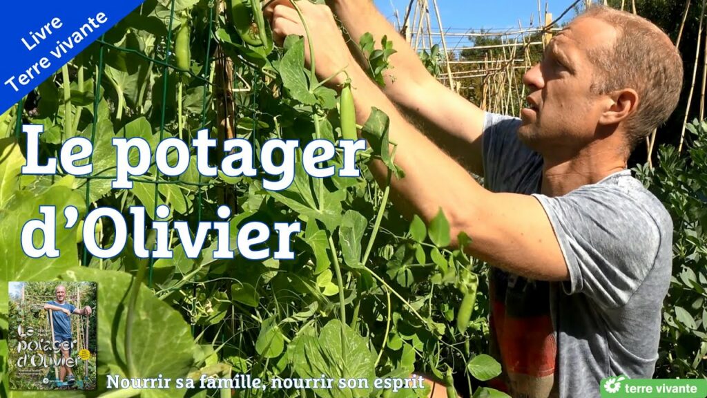 Chaine Le potager d'Olivier- vignette d'une de ses vidéos