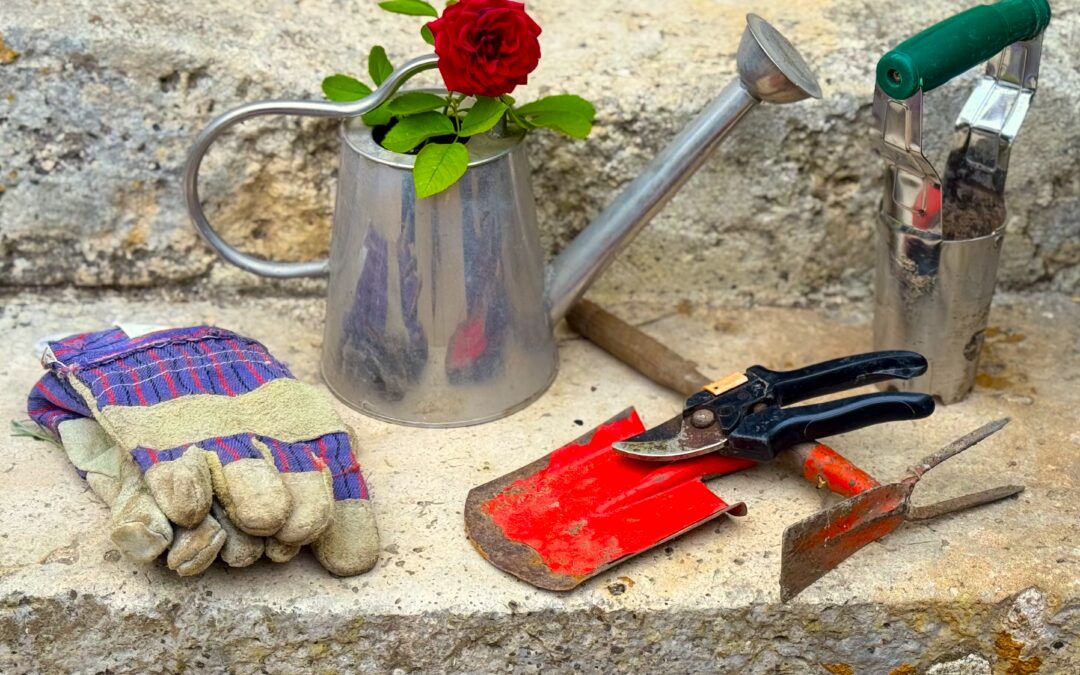 TOP 10 des comptes à suivre pour bien débuter en jardinage. Ensemble d'outils de jardinage : arrosoire, pelle, grelinette , gants, etc. L'ensemble est sur une marche en pierre.