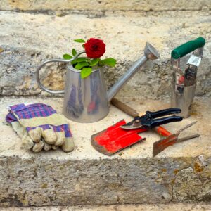 Notre top 10 des comptes à suivre pour bien débuter en jardinage