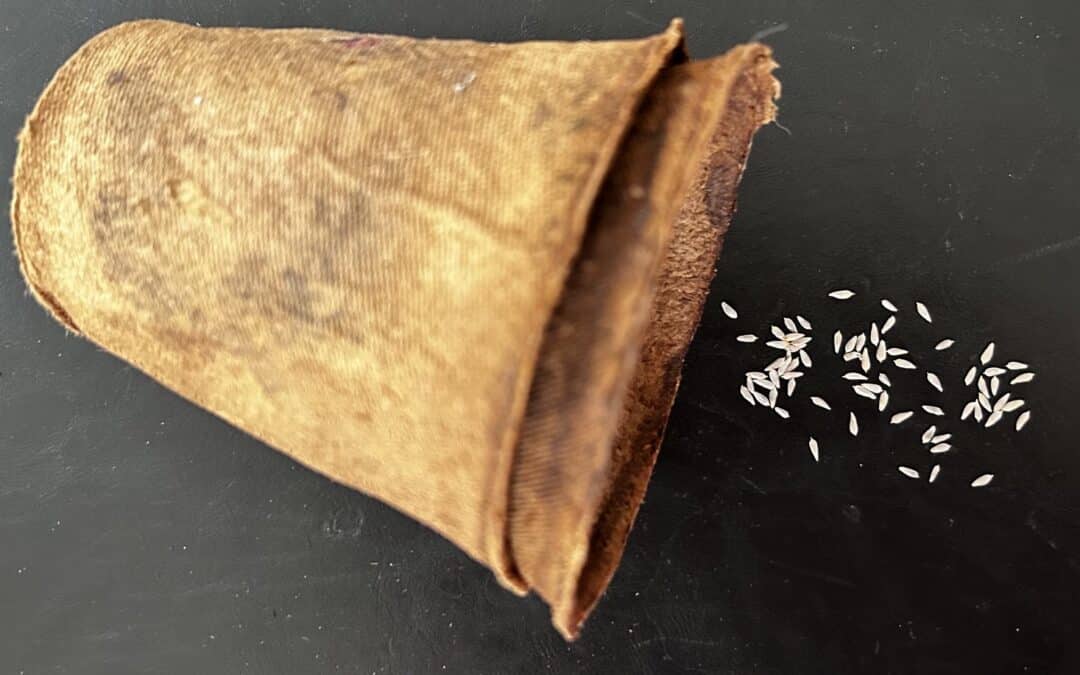 pot renversé sur un fond noir/gris avec des graines de salades