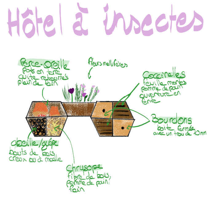 dessin du plan de mamahele.com pour réaliser un hôtel à insectes